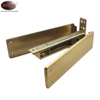 Wooden Door Floor Spring Hinge Hyland OEM F108  SS  Floor Spring South America Hote sale   for light duty door